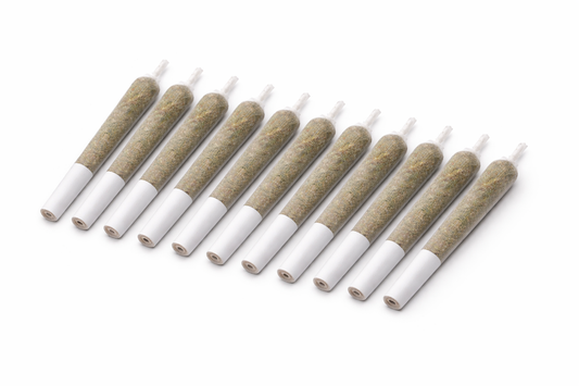 Pre-Roll 12er Pack (CBD Blüten Mix)