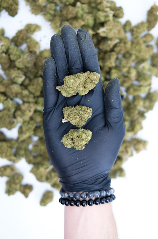 Bubblegum – CBD Blüten