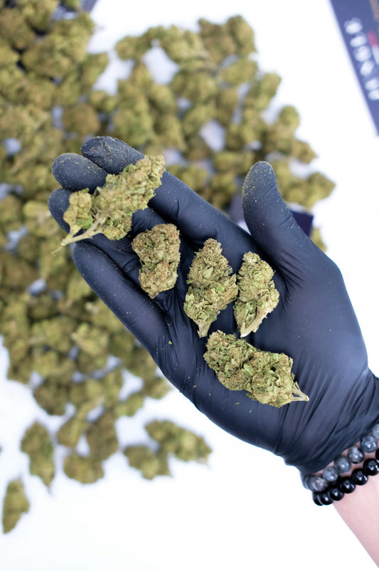 Gorilla Glue – CBD Blüten