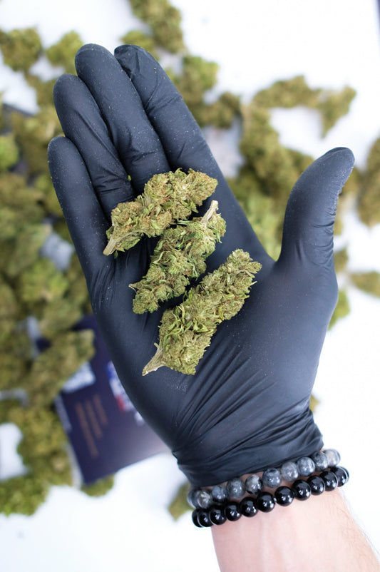 Skywalker – CBD Blüten